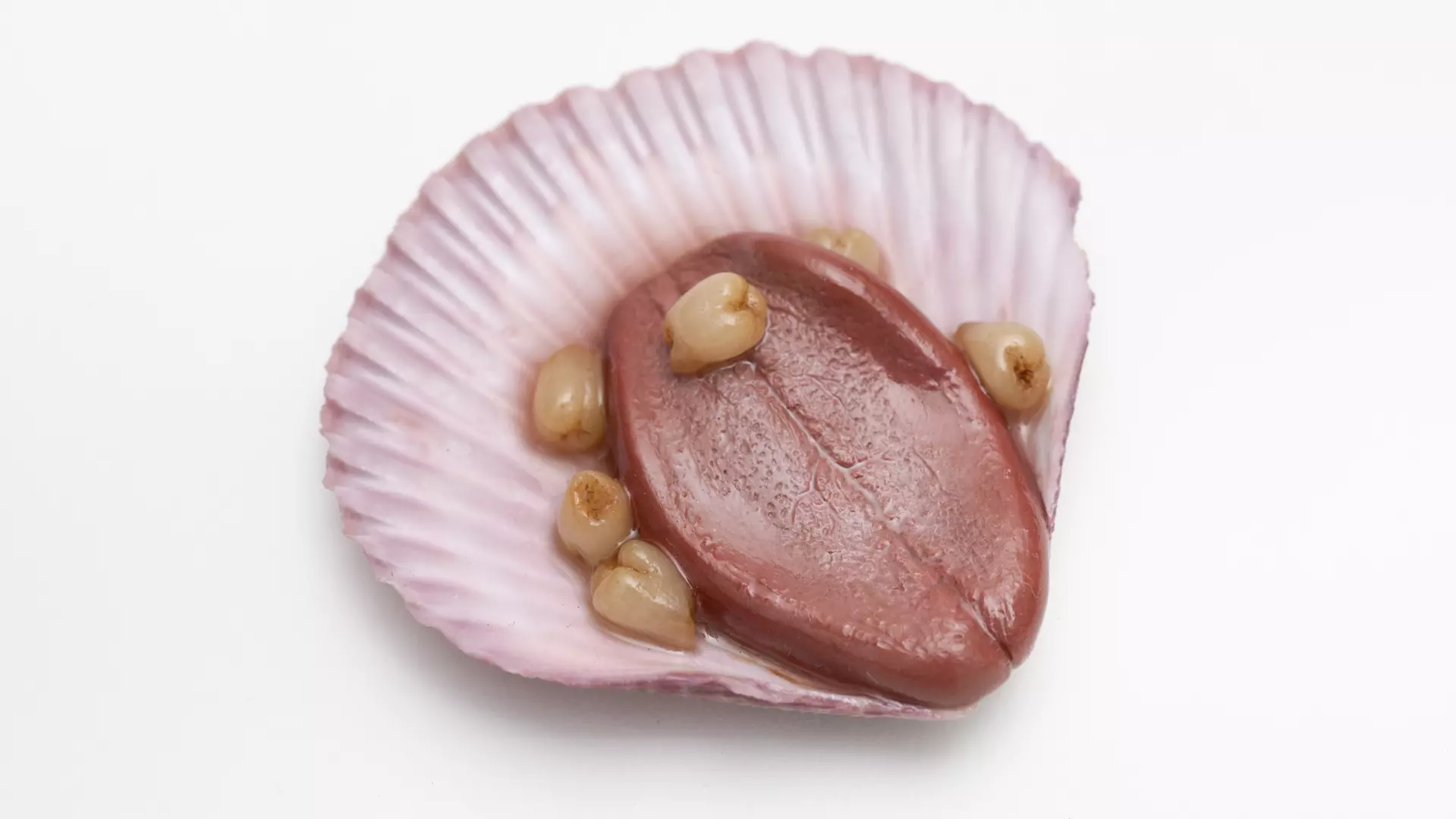 Seashell creatively repaired by Lim Qi Xuan